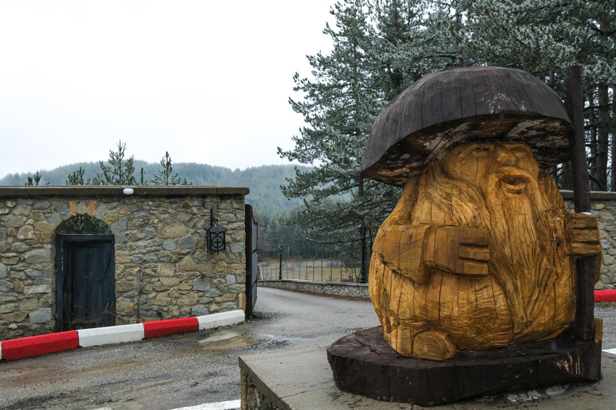 Pindos Resort Κρανιά Εξωτερικό φωτογραφία